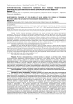 Морфометрические особенности селезёнки крыс периода предстарческих изменений под действием ксеногенной цереброспинальной жидкости