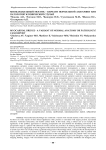 Миокардиальный мостик - вариант нормальной анатомии или патология? Клинический случай