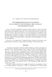 Мумифицированное погребение из скального могильника Джалан-Кол I в верховьях Кубани