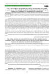 Локализация СD8-позитивных клеток лимфатических узлов в различные сроки после введения аллогенного костного мозга