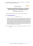 Comparative phytochemical evaluation of the aerial parts of Neolamarckia cadamba (Roxb.) Bosser