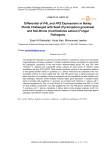 Differential of PAL and PR2 expressions in barley plants challenged with seed (Pyrenophora graminea) and soil-borne (Cochliobolus sativus) fungal pathogens
