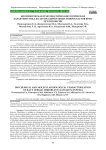 Биохимическая и молекулярно-биологическая характеристика культуры дермальных фибробластов крыс при гипоксии