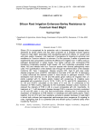 Silicon root irrigation enhances barley resistance to Fusarium head blight