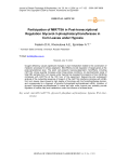 Participation of MIR775A in post-transcriptional regulation glycerol-3-phosphatacyltransferases in corn leaves under hypoxia