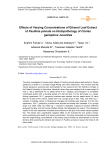 Effects of varying concentrations of ethanol leaf extract of Paullinia pinnata on histopathology of Clarias gariepinus juveniles