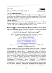 Мезоморфология твердой фазы почвы: методика исследований, результаты, оценка возможностей