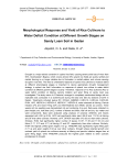 Morphological response and yield of rice cultivars to water deficit condition at different growth stages on sandy loam soil in Ibadan