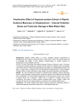 Ameliorative effect of aqueous-acetone extract of Raphia sudanica mesocarp on streptozotocin-induced oxidative stress and testicular damage in male Wistar rats