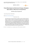 Physio-Morphological and Biochemical Changes in Mungbean Vigna radiata (L.) Wilczek due to Drought Stress