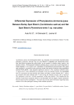 Differential Expression of Phenylalanine Ammonia-lyase Between Barley Spot Blotch (Cochliobolus sativus) and Net Spot Blotch (Pyrenohora teres f. sp. maculata)