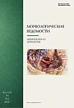 2 т.34, 2026 - Морфологические ведомости