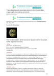 Трансформация экономического пространства и структура экономики региона