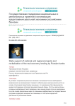 Государственная поддержка национальных и региональных проектов и активизация кредитования реальной экономики российскими банками