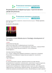 Формирование инфраструктуры стратегического развития региона