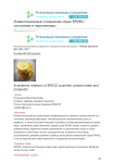 Инвестиционные отношения стран БРИКС: состояние и перспективы