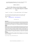 Protective effect of humic acid and chitosan on radish (Raphanus sativus, L. var. sativus) plants subjected to cadmium stress