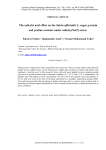 The salicylic acid effect on the Salvia officianlis L. sugar, protein and proline contents under salinity(NaCl) stress