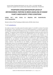 Phosphorylation/dephosphorylation of mitochondrial proteins in redox-signalling of higher plants under abiotic stress conditions