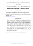 Impact of salt stress (NaCl) on growth, chlorophyll content and fluorescence of Tunisian cultivars of chili pepper (Capsicum frutescens L.)