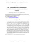 Study of photosynthesis process in the presence of low concentrations of clomazone herbicide in tobacco ( Nicotiana tabacum)