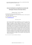 Structural carbohydrates and lignifications associated with submergence tolerance in rice ( Oryza sativa L.)