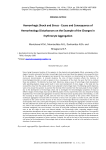 Hemorrhagic shock and stress - cause and consequence of hemorheology disturbances on the example of the changes in erythrocyte aggregation