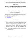 Studying of import mechanisms for different length and structure DNA into plant mitochondria