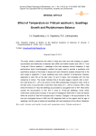 Effect of temperature on Triticum aestivum L. seedlings growth and phytohormone balance