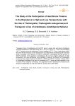 The study of the participation of heat shock proteins in the resistance to high and low temperatures with the use of Thellungiella (Thellungiella salsuguinea) and transgenic lines of Arabidopsis (Arabidopsis thaliana)