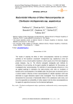 Бактерицидное влияние нанокомпозитов серебра на Clavibacter michiganensis ssp. Sepedonicus