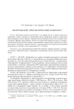 Маркульский археологический комплекс