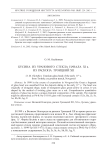 Бусина из уранового стекла начала XI в. из раскопа Троицкий XII