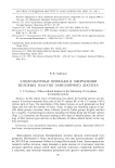 Этнокультурные признаки в оформлении железных пластин ламеллярного доспеха