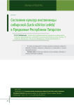 Состояние культур лиственницы сибирской (Larix sibirica ledeb) в Предкамье Республики Татарстан