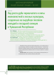 Ход роста дуба черешчатого и липы мелколистной в лесных культурах, созданных на вырубках посевом желудей и посадкой сеянцев в Чувашской Республике