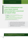 Особенности формирования коры стволов березы повислой (Вetula pendula Roth.) в лесостепной зоне Средней Сибири