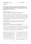 Критерии развития рынка банковских карт на современном этапе функционирования банковского сектора