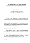 Организационно-структурные аспекты в управлении инфраструктурными проектами