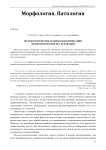 Методологические основы объективизации морфологических исследований