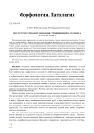 Гистоструктурная организация стенки нижнего сегмента матки кролика