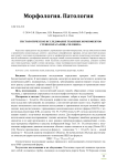 Гистологическое исследование тканевых компонентов стенки влагалища человека