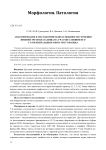 Анатомические и гистологические особенности строения нижней трети влагалища на участке слияния его с урогенитальным синусом у кролика