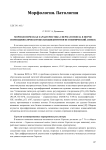 Морфологическая характеристика сперматогенеза в норме и при идиопатическом бесплодии (иммуногистохимический аспект)