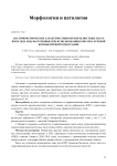 Анатомометрические характеристики верхнечелюстных пазух взрослых лиц, полученные при использовании конусно-лучевой компьютерной томографии