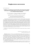 Клинико-анатомическое обоснование хирургической техники операции сохранения почек для трансплантации у доноров с остановкой кровообращения
