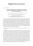 Экспрессия иммуногистохимических маркеров в аденокарциноме простаты после максимальной андрогенной блокады