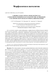 Клинико-лабораторная, морфологическая и иммуногистохимическая характеристика муцинозной тубулярной и веретеноклеточной карциномы почки