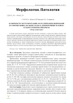 Особенности гистотопографии, васкуляризации, иннервации и развития мышц анального канала прямой кишки человека и лабораторной белой крысы (обзор литературы)