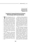 Социально-психологические аспекты организации виртуальной жизни
